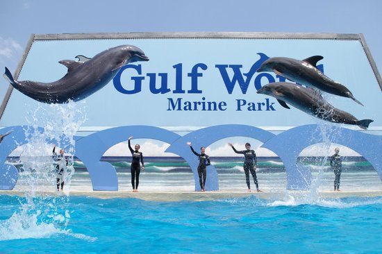 Zeepark Gulf World
